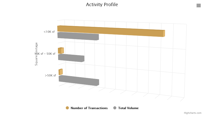 activity-profile-january-2025.png